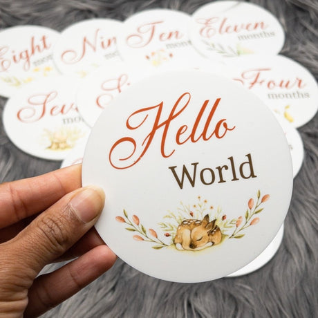  baby milestone discs with engraved name and date