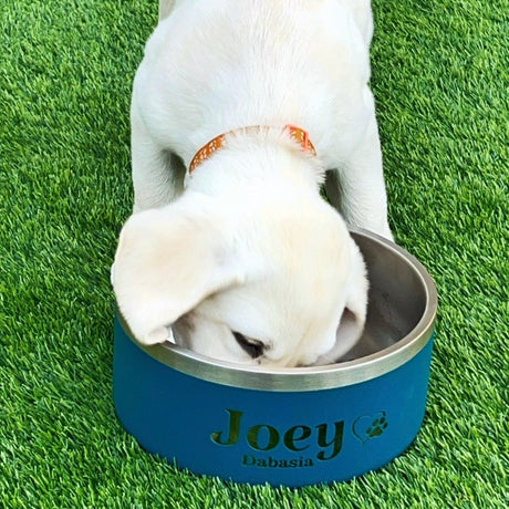 Personalised Dog Bowl - KnK krafts
