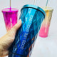 Metallic Double Wall Tumblers With Straw And Lid - KnK krafts