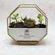 Personalised Mothers Day Planter Pot with Stand - KnK krafts