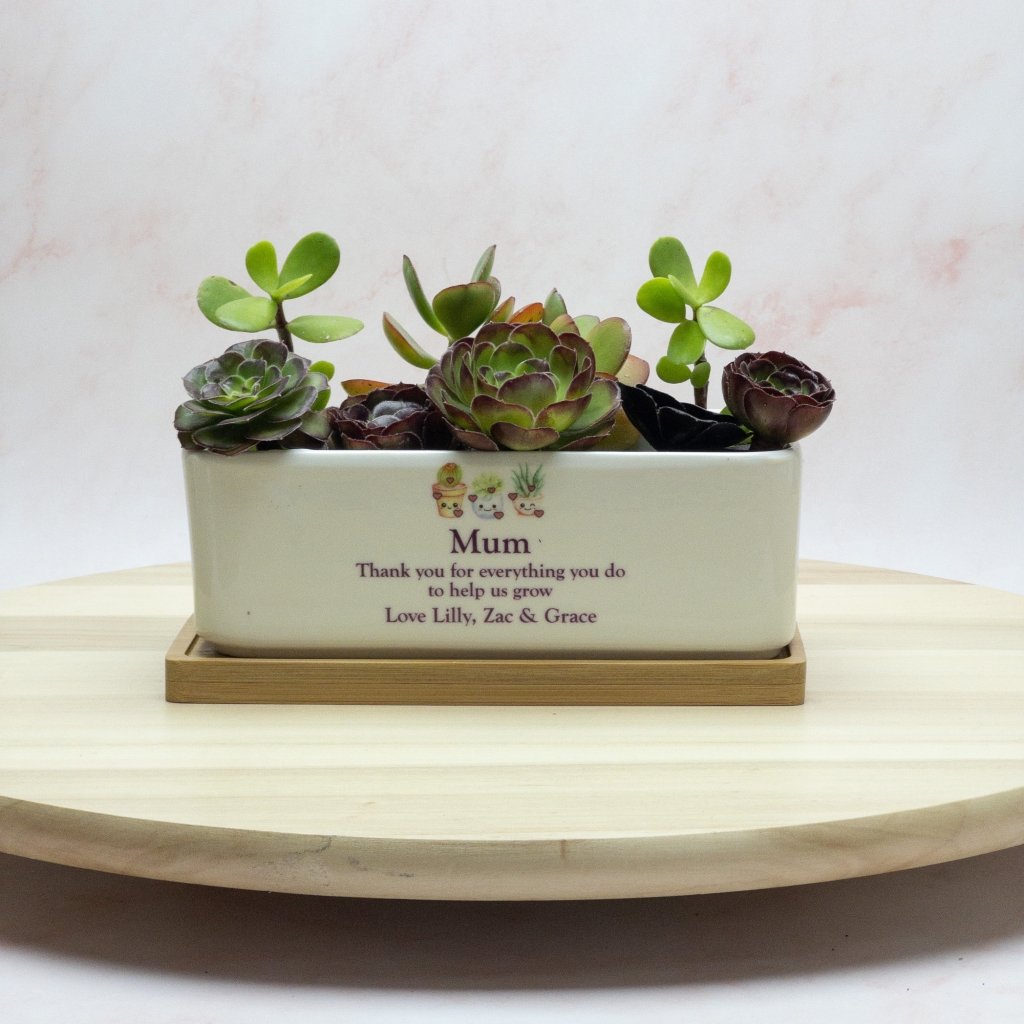Personalised Mothers Day Planter Pots- Rectangle - KnK krafts