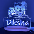 Personalised Owl Led Night Light - KnK krafts